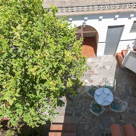 Molinell Tatil Evi Oliva